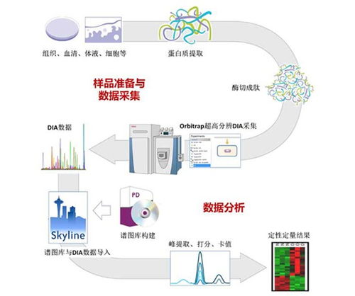 專注蛋白質組與代謝組技術服務，拜譜生物完成千萬元級Pre-A輪融資